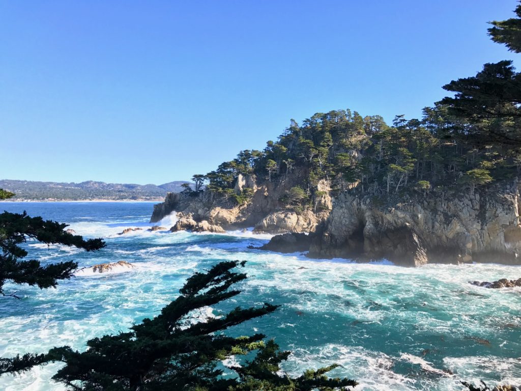 view from the path at point lobos reserve