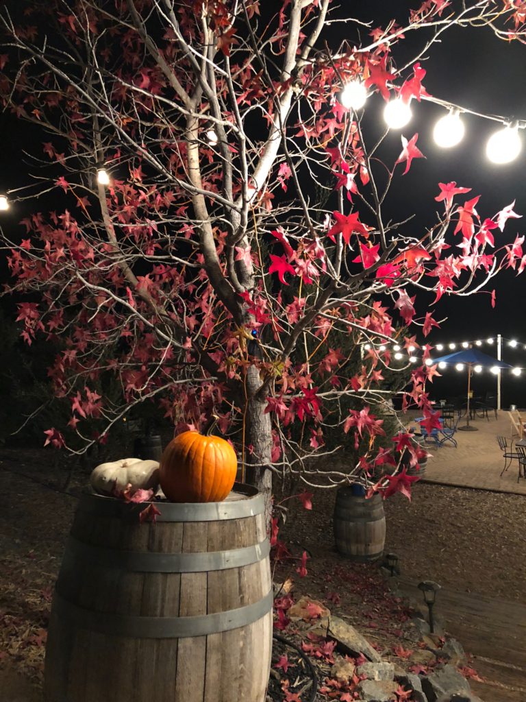 Vindemia winery fall color display