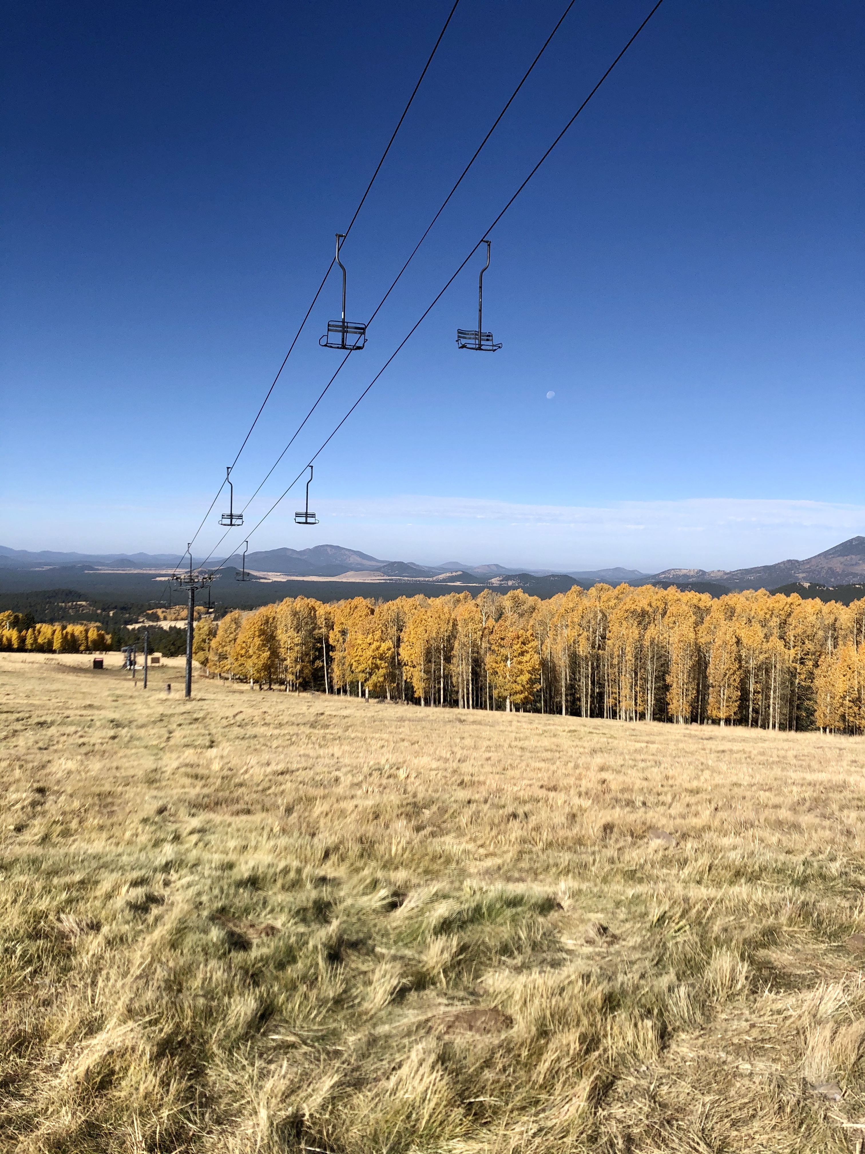 Chair lifts at snowbowl over aspens
