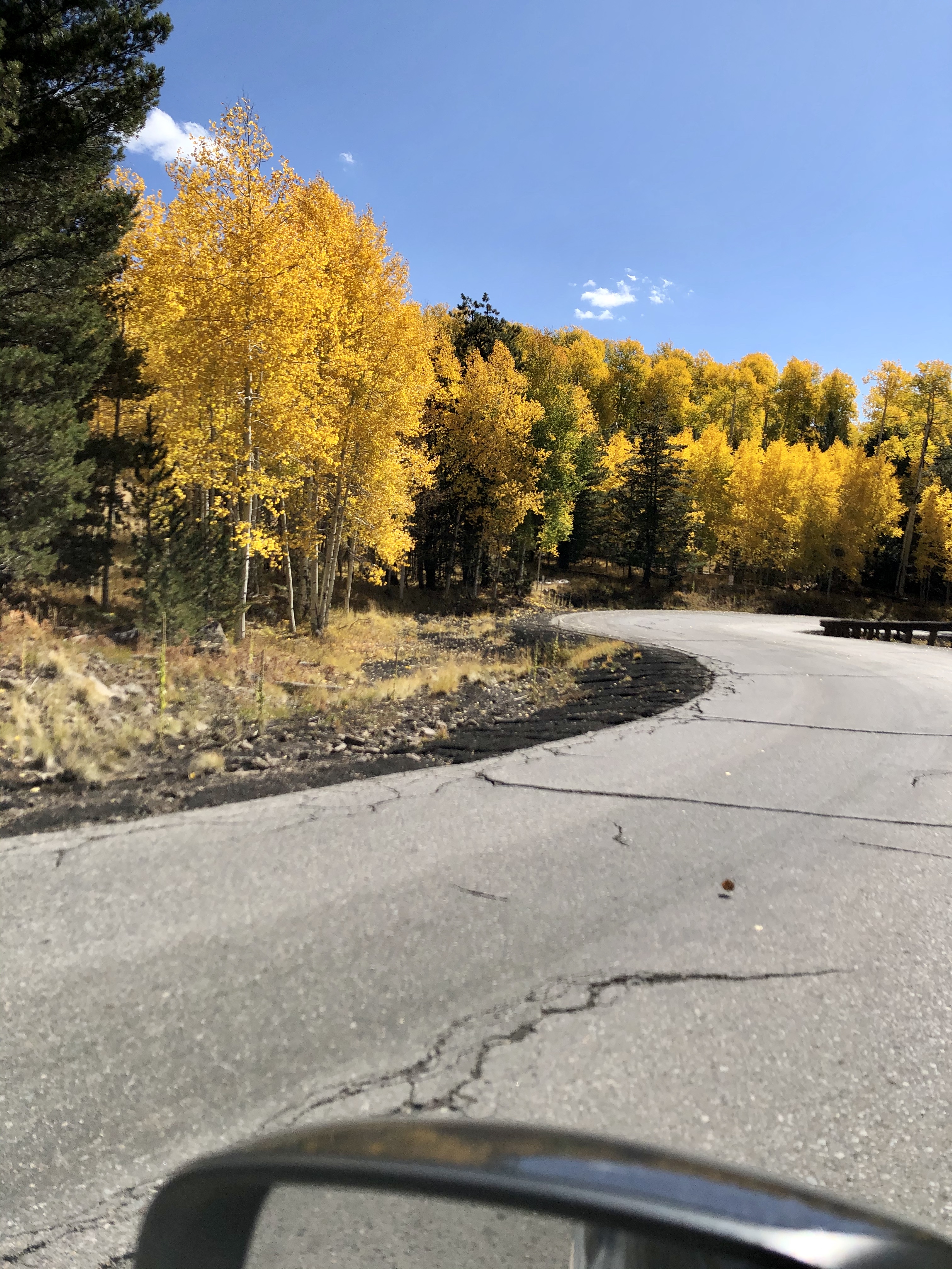 Road to snowbowl with aspens
