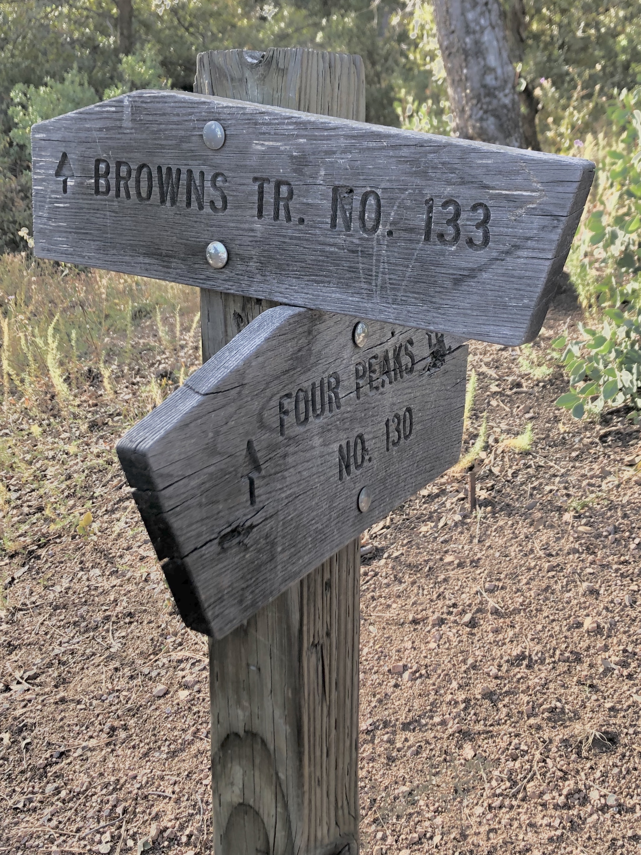 Wooden trail sign showing browns trail number 133